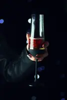 Набор из 2 бокалов для игристого вина PAS42340728200B