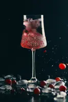 Набор бокалов для вина 2 шт PAS45940862360