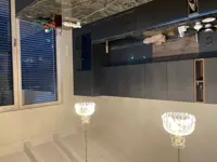 Потолочный светильник L297CLN