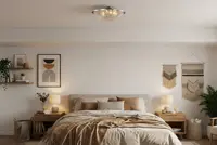 Потолочный светильник TX355000206